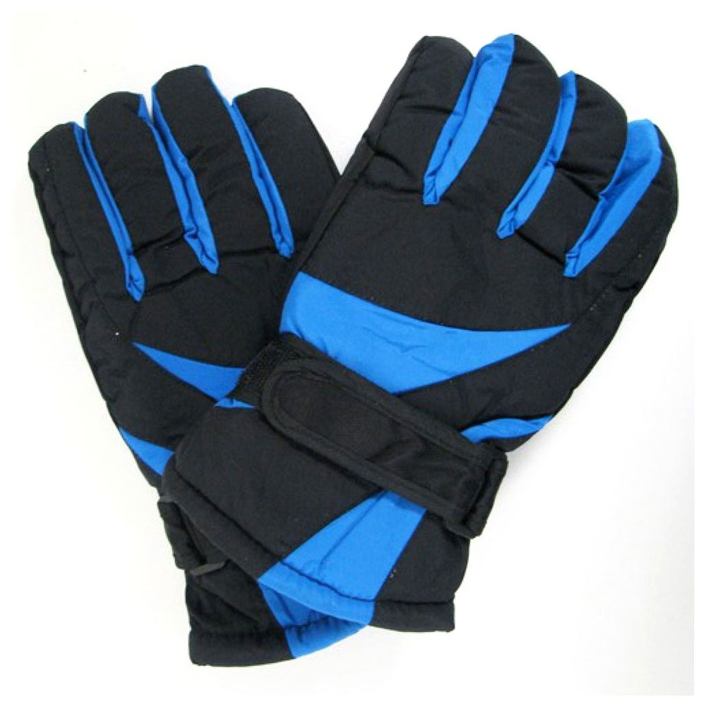 Ski Gloves 
