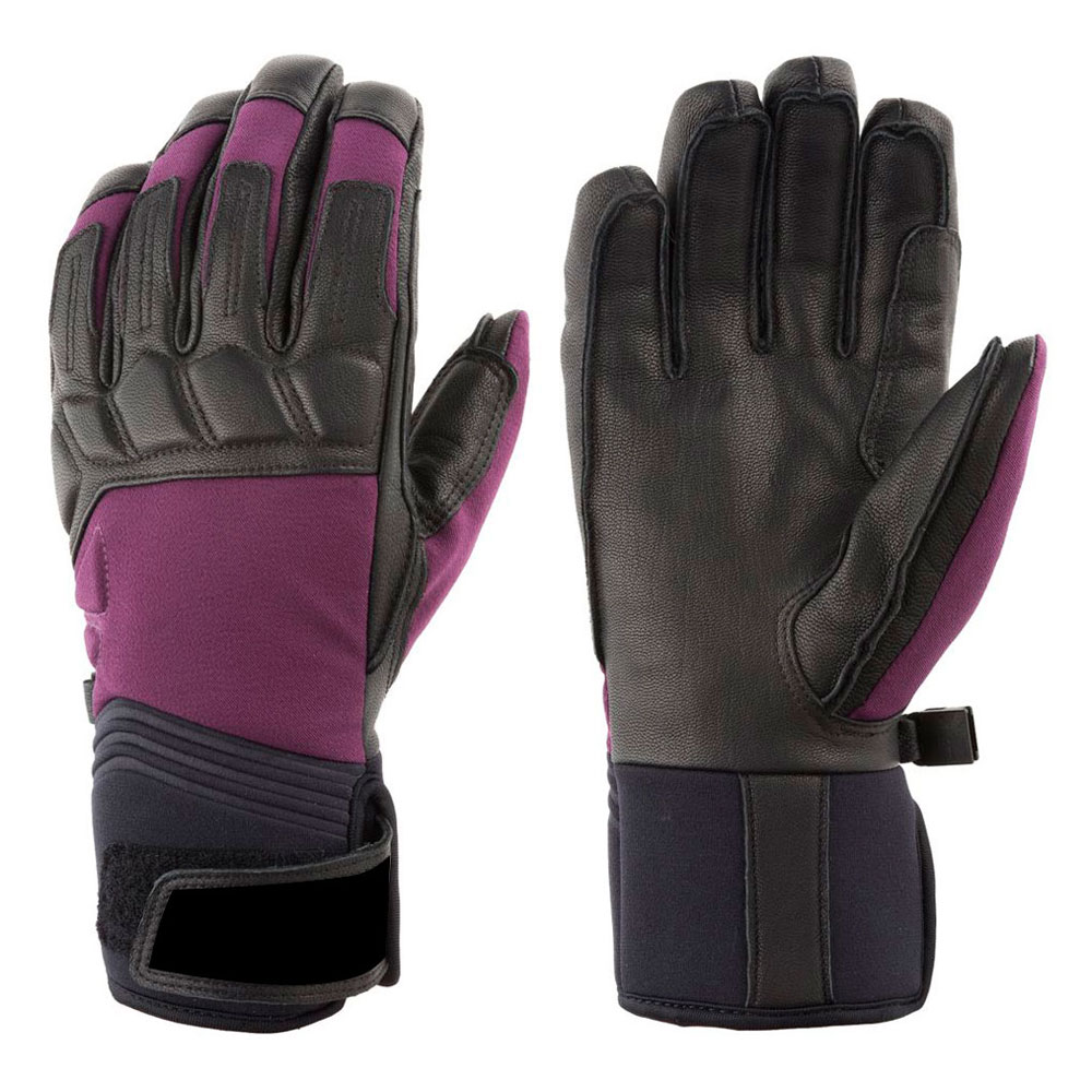 Ski Gloves 