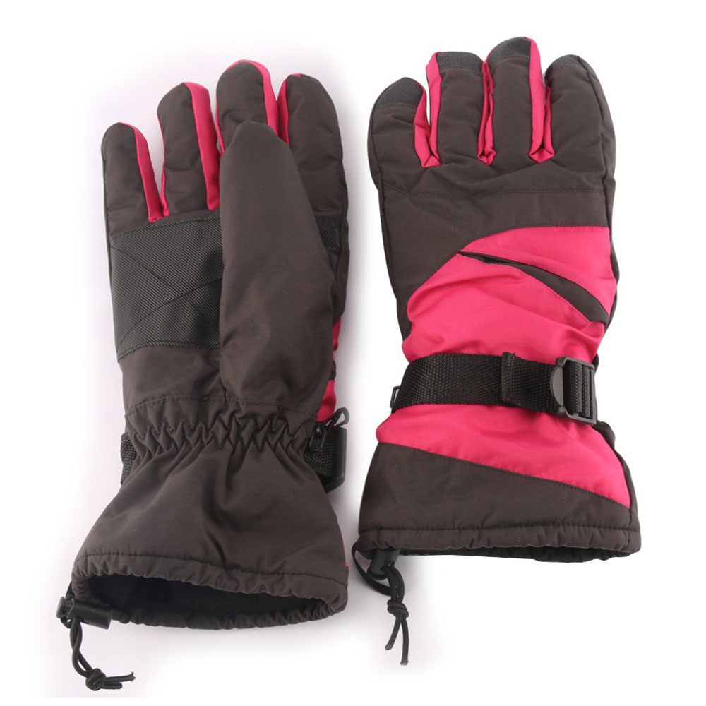 Ski Gloves 